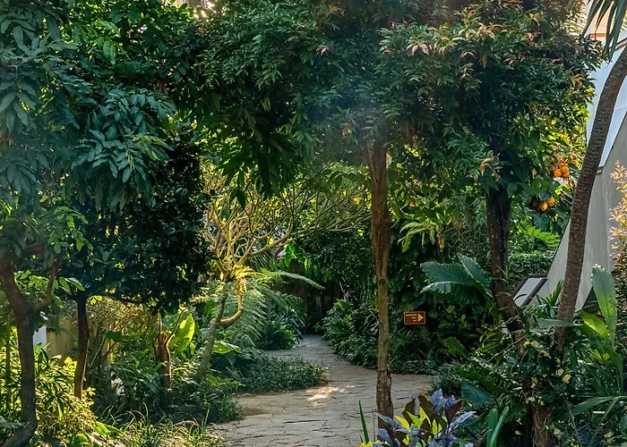 拉达帕拉度假村 度假村 4*